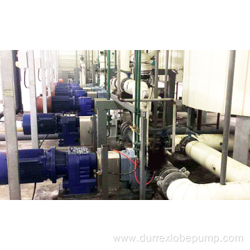 Dry strength agent lobe pumps in paper industry